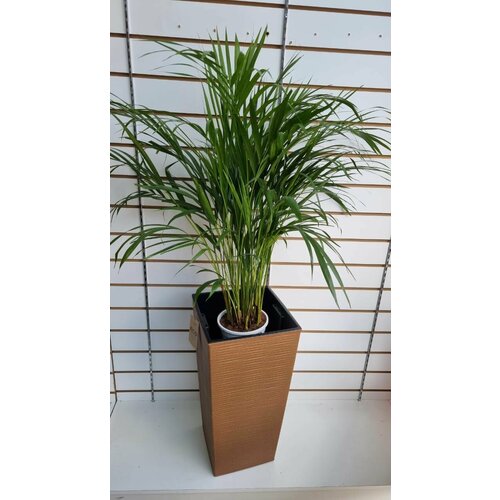 Кашпо пластиковое с системой автополива. Размер 25х25хН46 см.