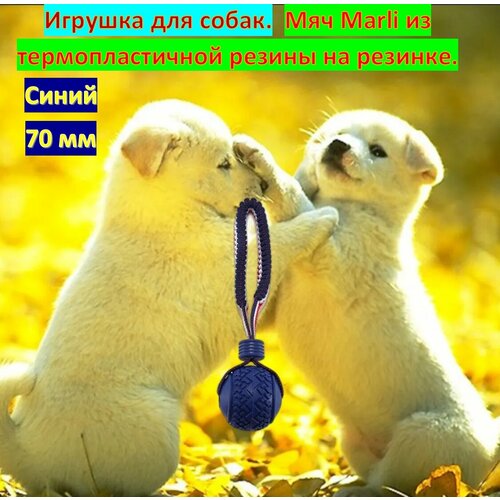 Игрушка для собак Мяч Marli из термопластичной резины на резинке Отличный подарок домашнему питомцу Синий 70 мм 600₽