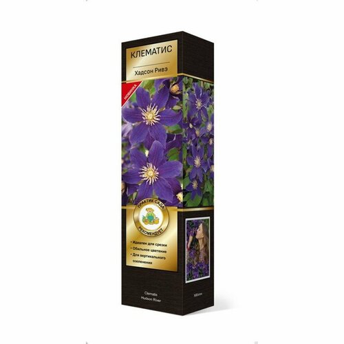 Клематис ботанический Люкс для срезки Хадсон Ривэ 1 шт туба Весна 2023 3762₽