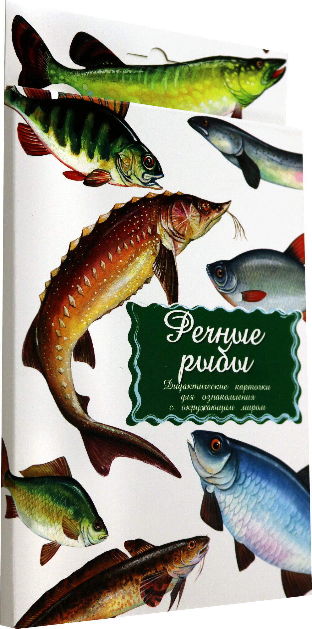 Дидактические карточки "Речные рыбы" - фото №17