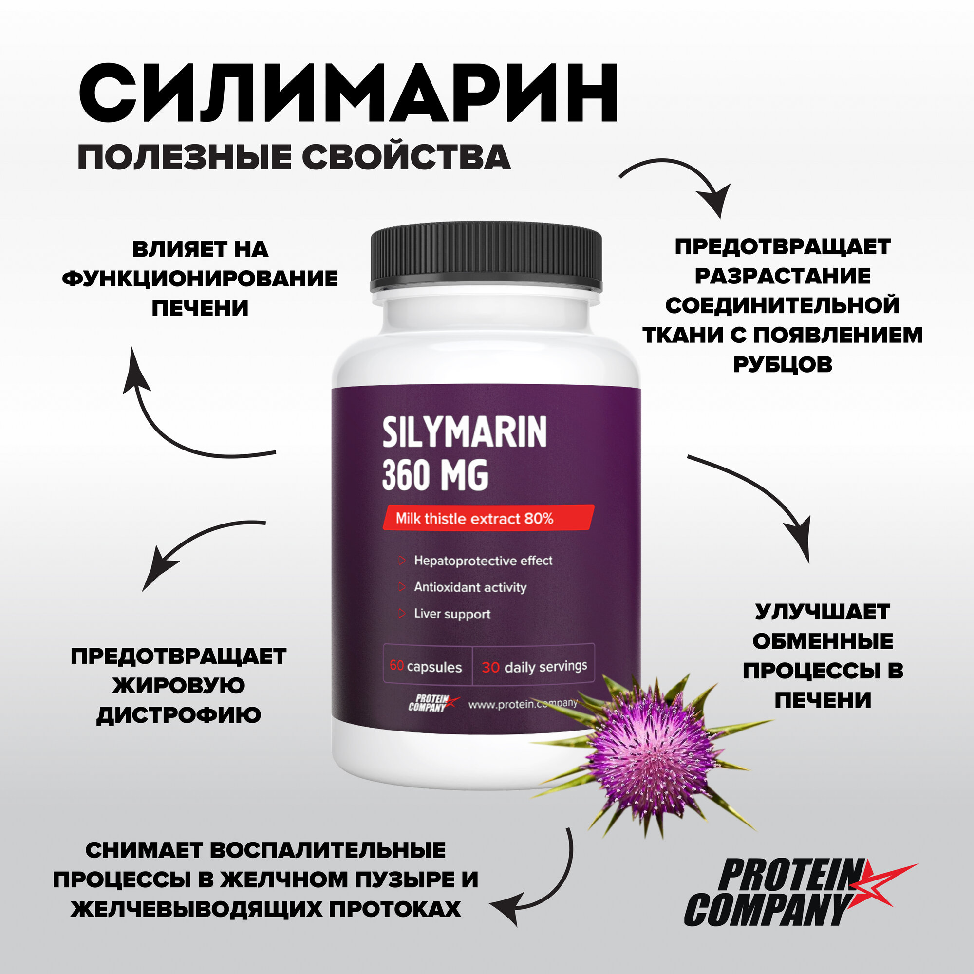 Изображение Силимарин 360 мг PROTEIN.COMPANY для печени, с экстрактом расторопши, 60 капсул