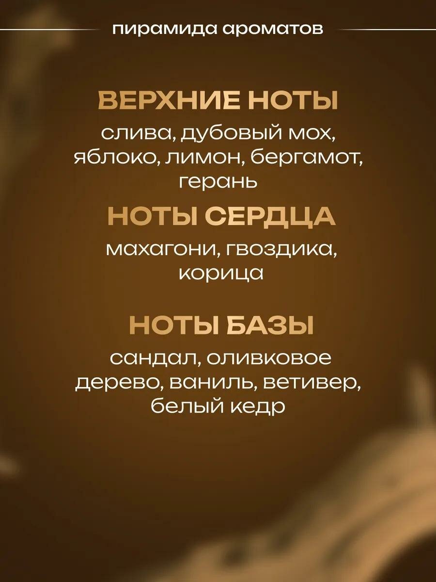 Туалетная вода мужская Absolute Bottled, 100 мл, древесный пряный аромат — фото 1