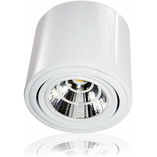 ShopLEDs Накладной светодиодный светильник ASV-13S-20W (220V, 20W, белый) (дневной белый 4000K)