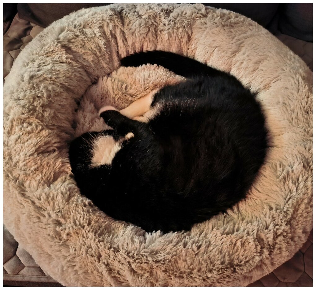 Лежанка, лежак для кошек и собак, лежанка, лежак для животных "Like Home"" - фотография № 13