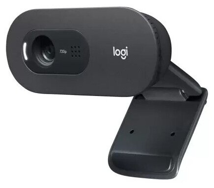 Web-камера Logitech C505e HD