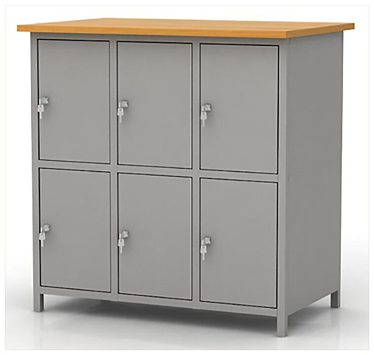 фото Шкаф - камера хранения для сумок Надежда ШМ-6КХ со столешницей, 6 ячеек