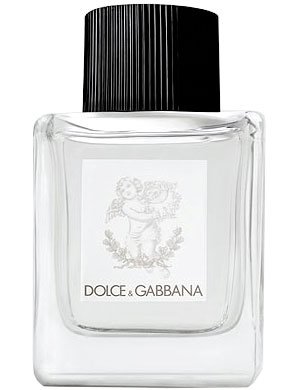 dolce and gabbana black perfume