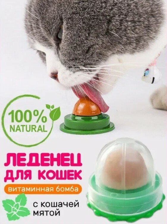 Лакомство для кошек, набор шарик с кошачьей мятой и леденец конфета для кошек,вес шарика 30гр. и леденца 18гр - фотография № 3