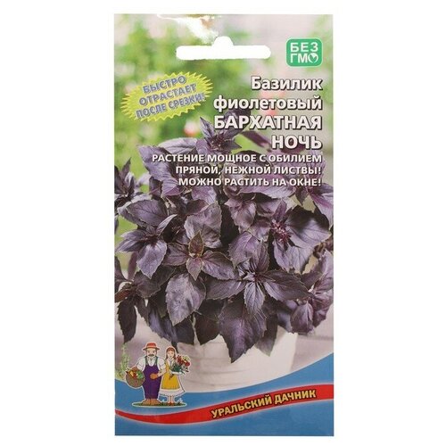 Семена Базилик Бархатная ночь, фиолетовый, 0,25 г семена базилик бархатная ночь фиолетовый 0 25 г 5 упак