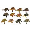 Фигурки TONG DE Удивительный мир животных Черепахи T489-D4696 - изображение