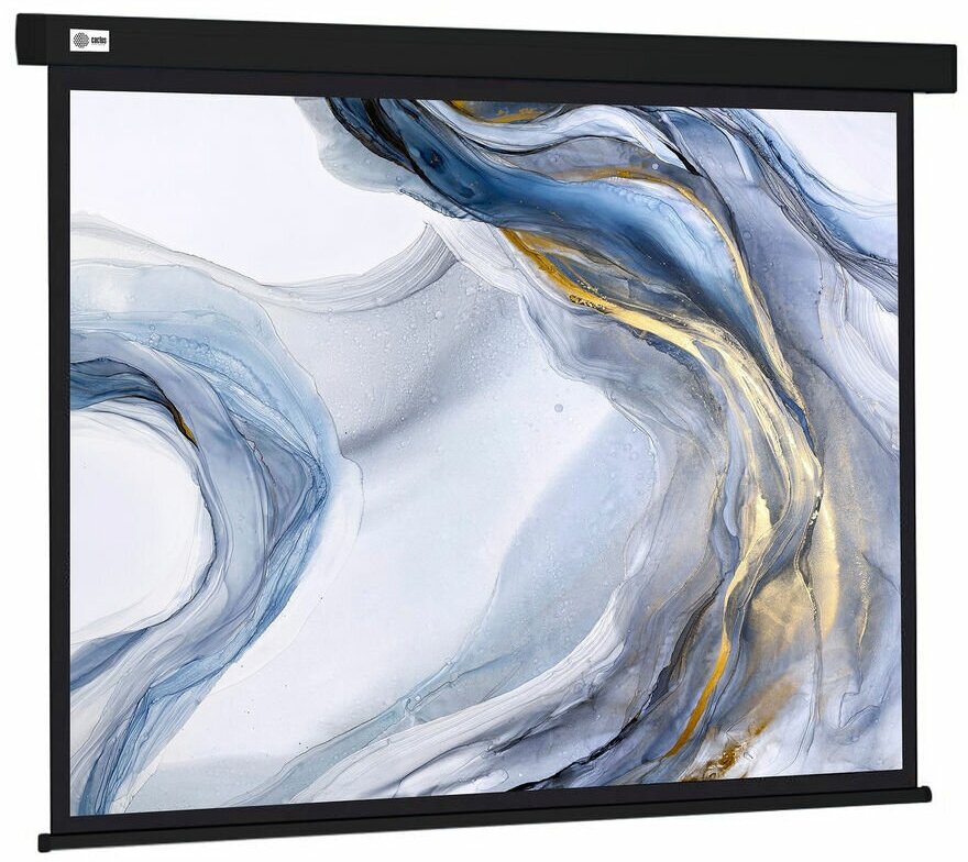 Экран Cactus Wallscreen CS-PSW-180X180-BK, 180х180 см, 1:1, настенно-потолочный черный