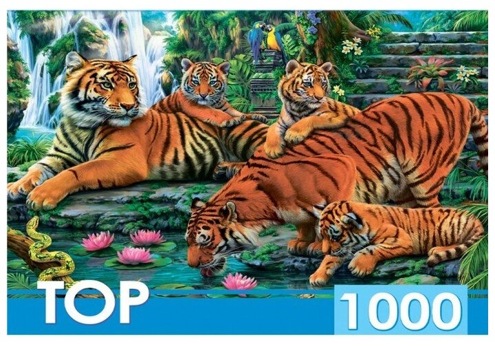 ПазлыTOPpuzzle 1000 дет. Семейство тигров ХТП1000-2160, (Рыжий кот)