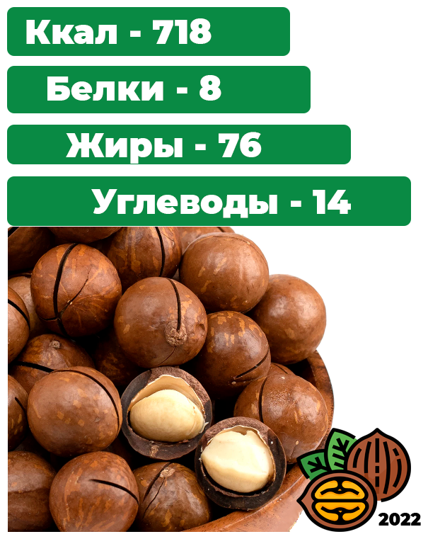 Макадамия орех (Macadamia) 1000 грамм в скорлупе с распилом, свежий урожай без горечи, ванилный вкус отборные и целые орехи - фотография № 3