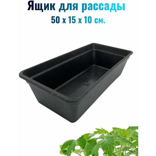 Ящик для рассады, 50x15x10 см, 5 л, цвет черный, легко транспортируемый. Для рассадки, пересадки посадочного материала и раннего высевания семян