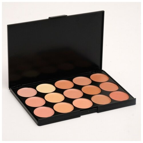 Палетка корректоров для лица 15 цветов 575₽