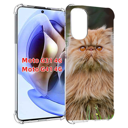 Чехол MyPads кошка персидская для Motorola Moto G31 4G / G41 4G задняя-панель-накладка-бампер