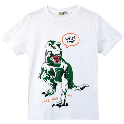 Футболка для мальчика (Размер: 146), арт. 322676TR white, цвет Белый