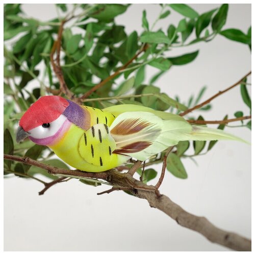 Птичка для декора и флористики на прищепке микс пластиковая 1шт 8 х 8 см 1580₽