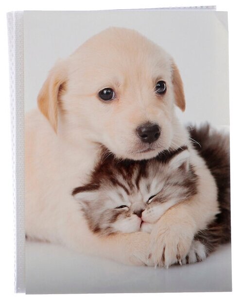 Фотоальбом на 36 фото 10х15 см Pioneer Puppies and kittens друзья
