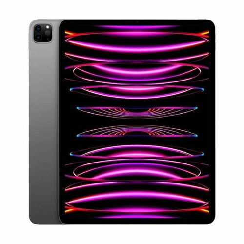 Apple iPad Pro 129 2022 2TB Wi-FiCellular Серый космос Space Gray 16994000₽