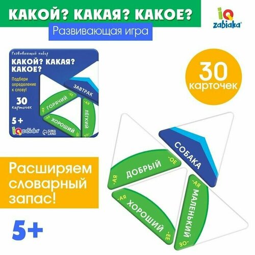 Развивающий набор Какой какая какое 464₽