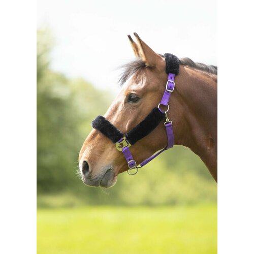 фото Недоуздок для лошади на флисе shires , xfull, фиолетовый