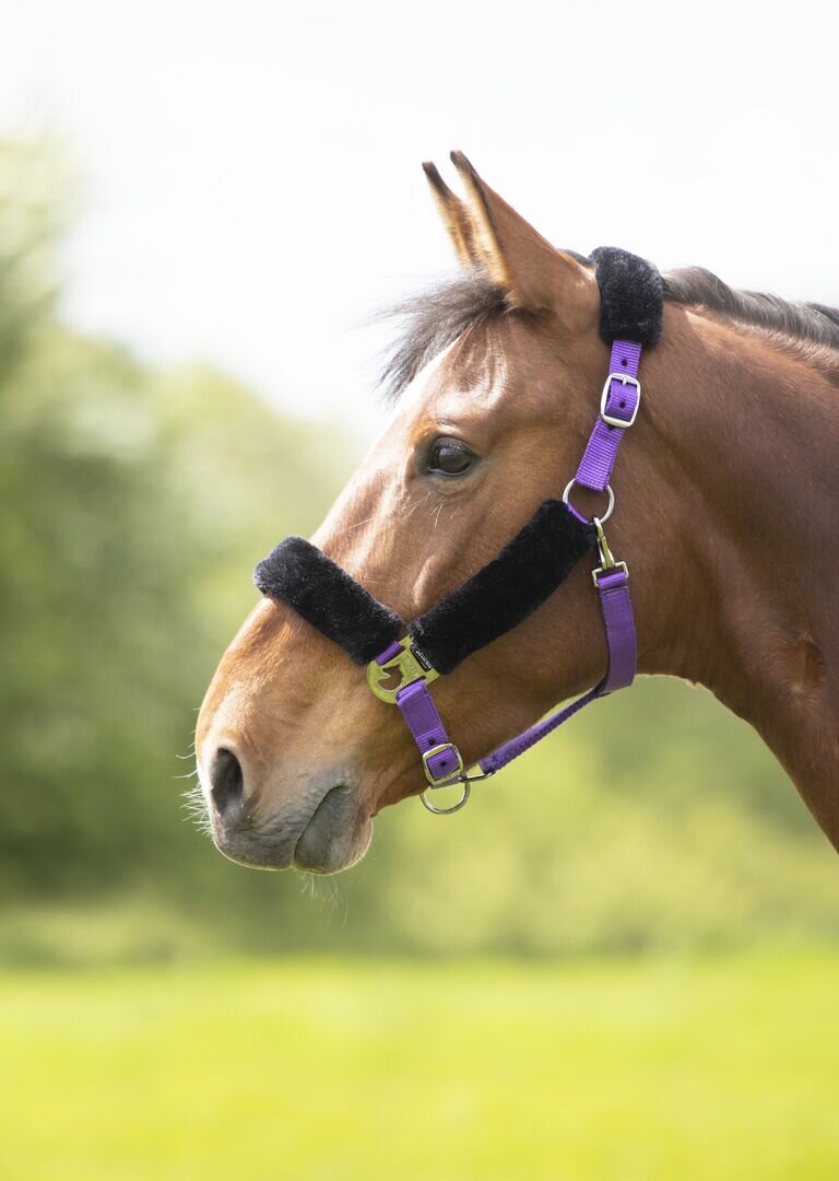 Недоуздок для лошади на флисе SHIRES , XFULL, фиолетовый (Великобритания)