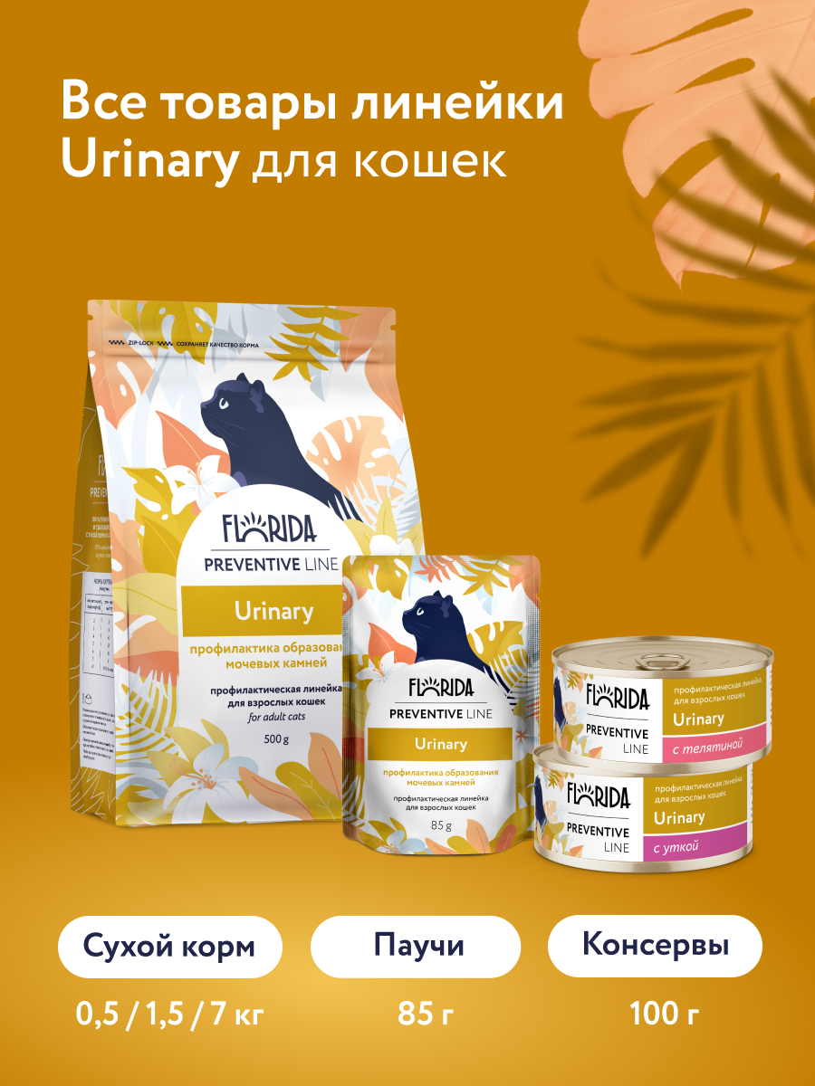 Florida Preventive Line Renal консервы для кошек при хронической почечной недостаточности (Индейка, 100 г.)