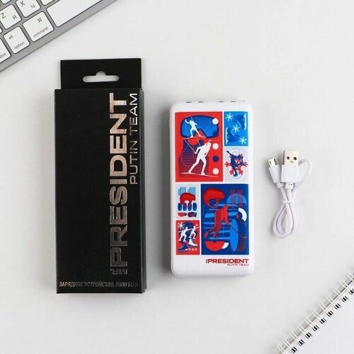 Зарядное устройство Спорт 8000мА модель PB-22 145 х 69 см 272000₽