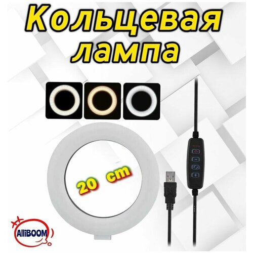 Кольцевая светодиодная лампа 20 см 59900₽