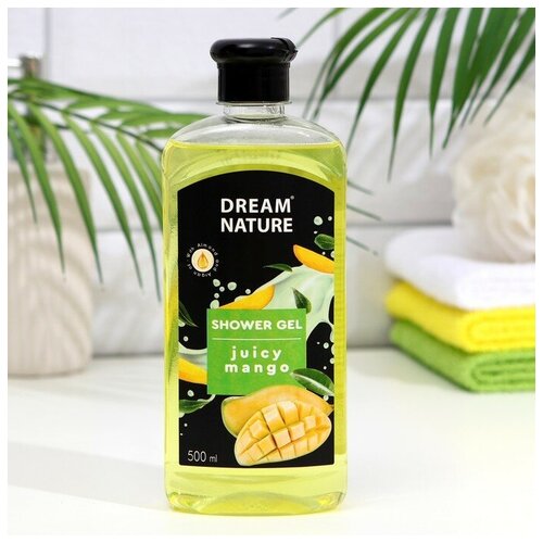 Гель для душа Dream Nature Сочный манго, 500 мл гель для душа vidal argan oil 500 мл