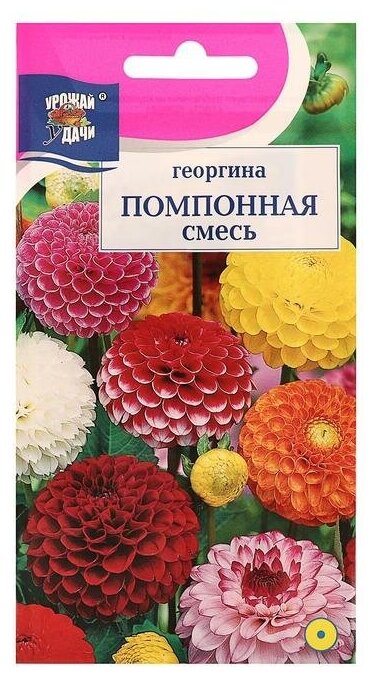 Семена цветов Цв Георгина Смесь "Помпонная",0,2 гр