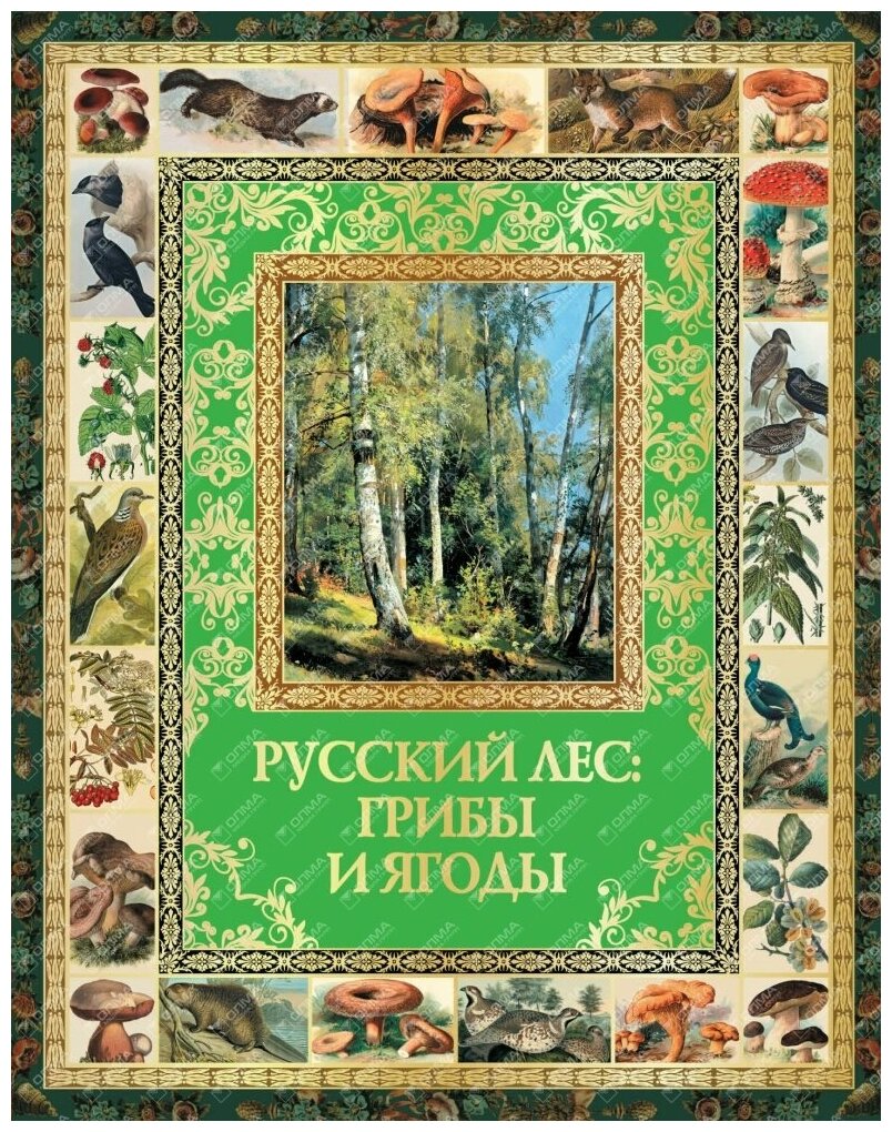 Русский лес. Грибы и ягоды (Группа авторов) - фото №10