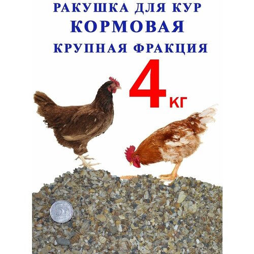 Ракушка кормовая крупная фракция