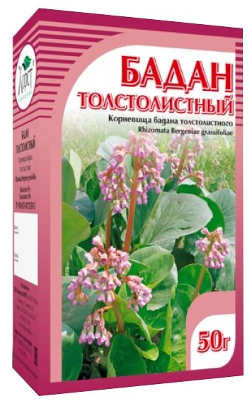 Хорст корневище Бадан толстолистный, 50 г