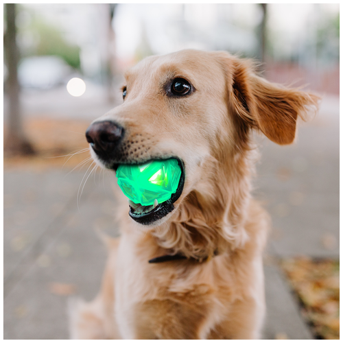 Мяч для собак/ Игрушка пищалка для собак/ светящийся мяч Алмаз/ зеленый мяч с пищалкой, ZOOWELL игрушка для собак nobby мячик пищалка мордашки 79426