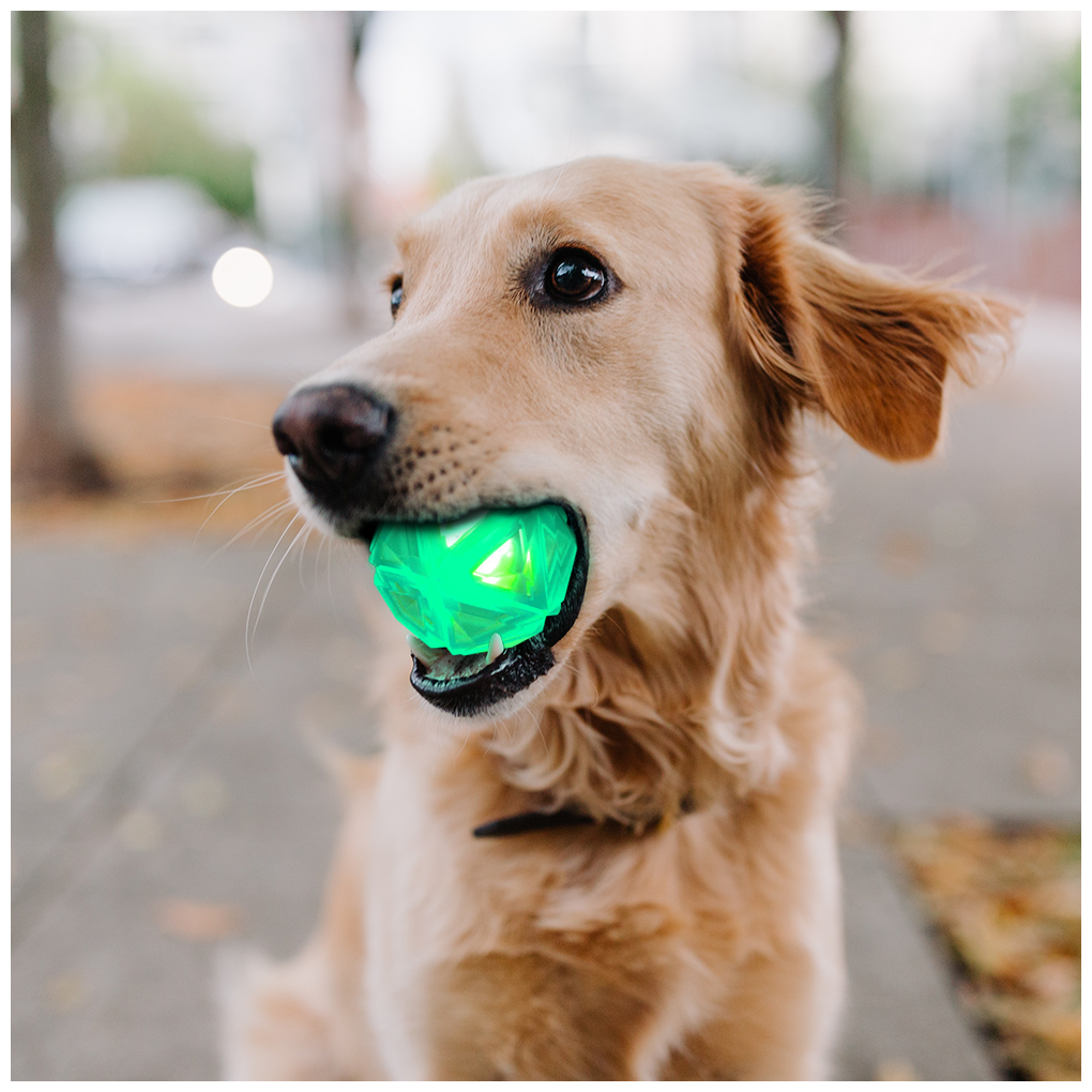 Мяч для собак/ Игрушка пищалка для собак/ светящийся мяч Алмаз/ зеленый мяч с пищалкой, ZOOWELL