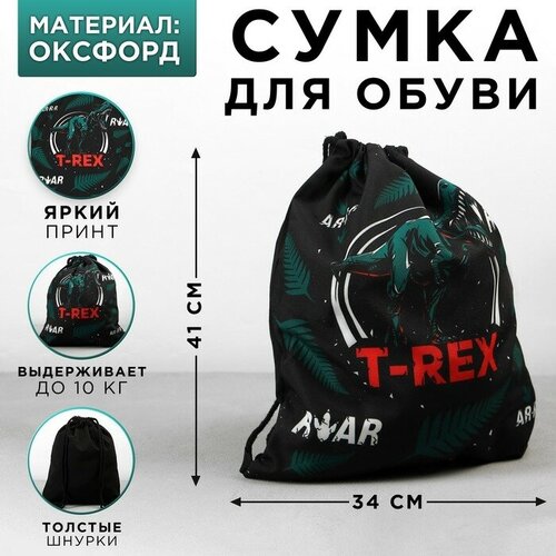 Сумка для обуви «T-REX», текстиль, размер 41х34х0,5 см