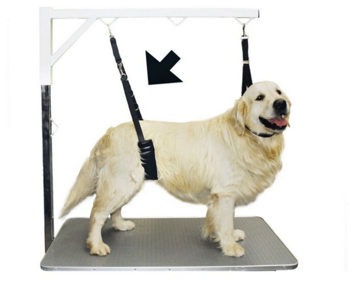 Ремень Show Tech для удержания собаки размер Large