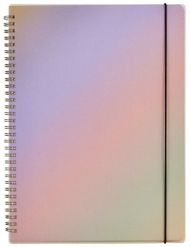 Бизнес-тетрадь А4 Attache Selection Rainbow, 80 листов, разноцветная, клетка, спираль (218х294мм)