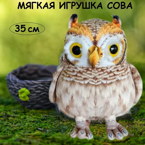 Мягкая игрушка Сова 35 см серая, реалистичная сова, филин, плюшевая сова, совенок, совушка, игрушки для детей