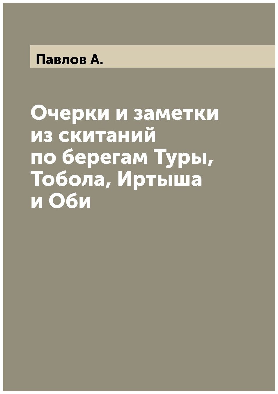 Книга Очерки и заметки из скитаний по берегам Туры, Тобола, Иртыша и Оби - фото №1