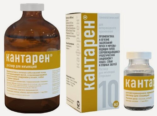 Изображение товара Кантарен раствор для инъекций для животных всех возрастов, 100 мл.