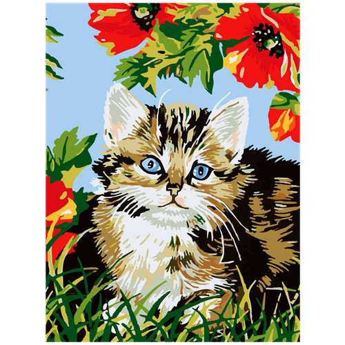 Белоснежка Картина по номерам Котенок в цветах (009-CE), 30 х 40 см, разноцветный белоснежка картина по номерам котята 231 ce 30 х 40 см разноцветный