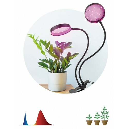 светильник для растений на прищепке эра fito 20w аled r красно синего спектра 20 вт черный ЭРА Светильник для растений на прищепке ЭРА FITO-20W-АLED-R красно-синего спектра 20 Вт черный Б0053290 (7 шт.)