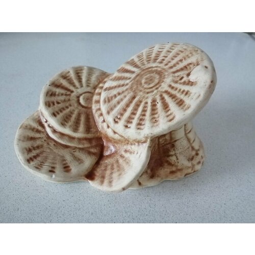 Черепашник мостик для черепахи 650₽