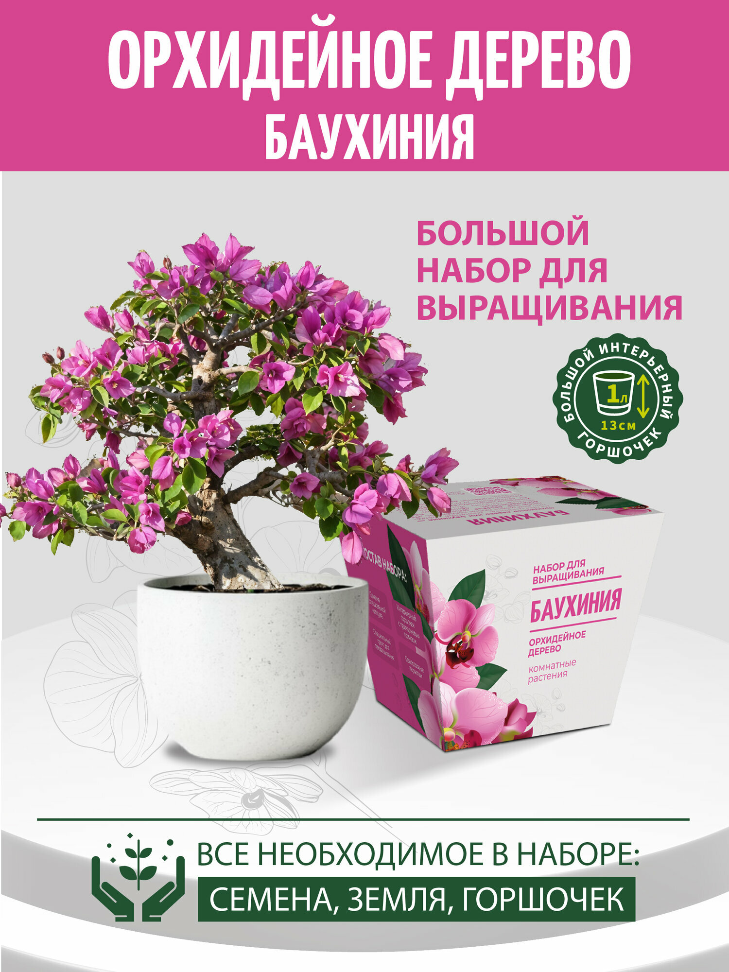 Набор для выращивания растений  Баухиния   подарок для детей и взрослых