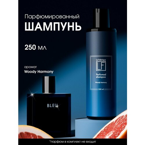 La Fabrique Мужской парфюмированный шампунь для волос 250 мл 680₽