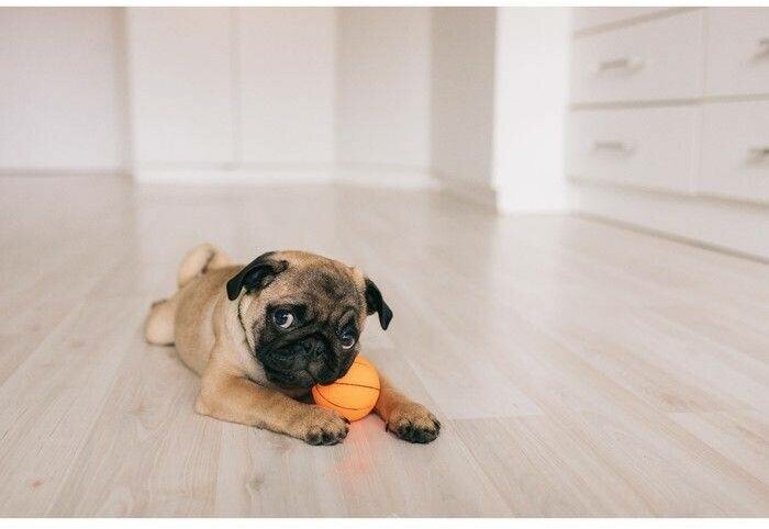 Игрушка пищащая малая "Мяч баскетбольный" 5,5 см, оранжевая - фотография № 10