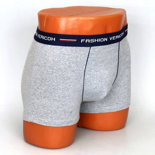 Плавки Vericoh, размер XL, серый